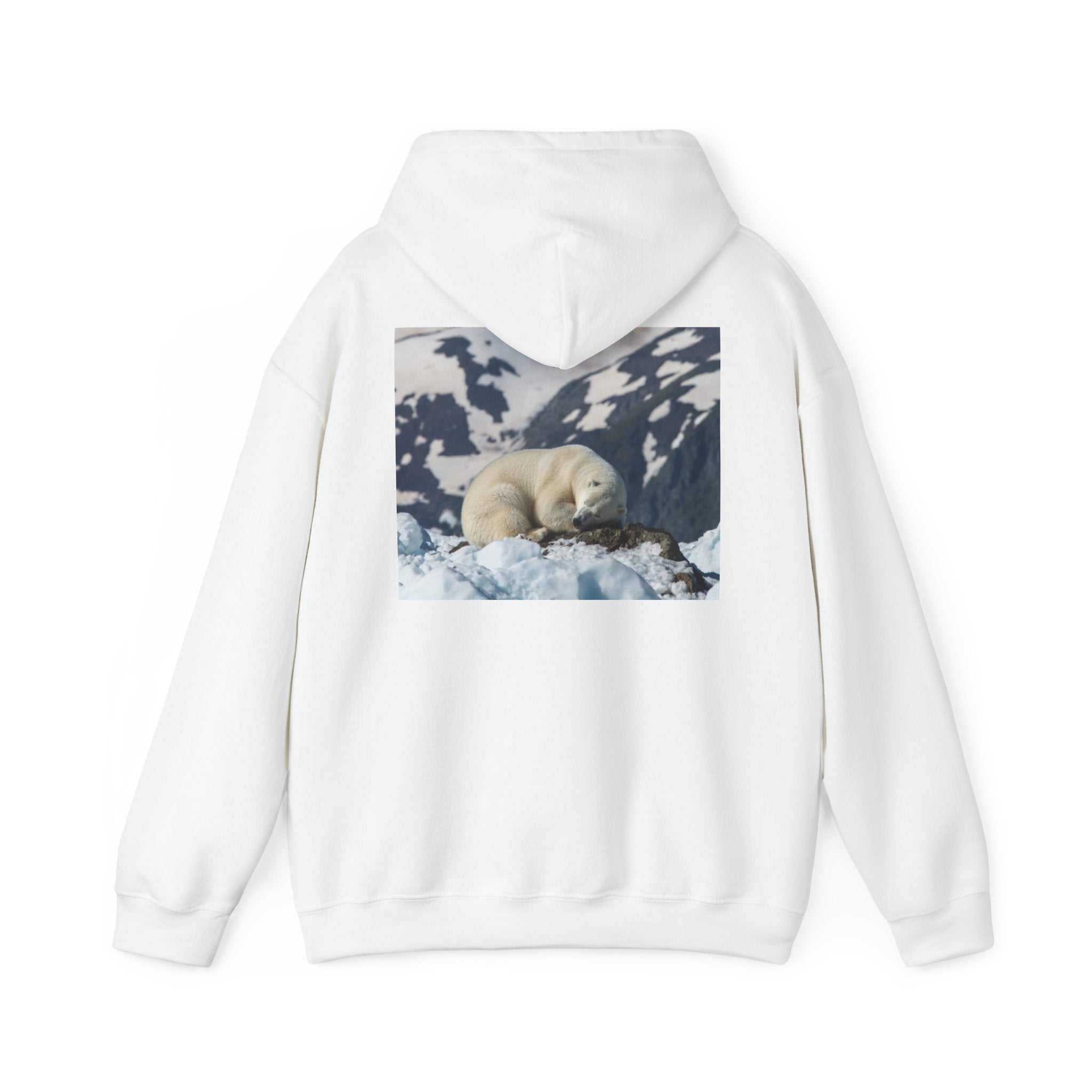 Polar Bear Photo Hoodie — Arctic Wildlife Photography Sweatshirt