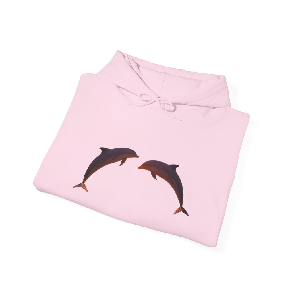 Dolphin Sunset Hoodie Unisex