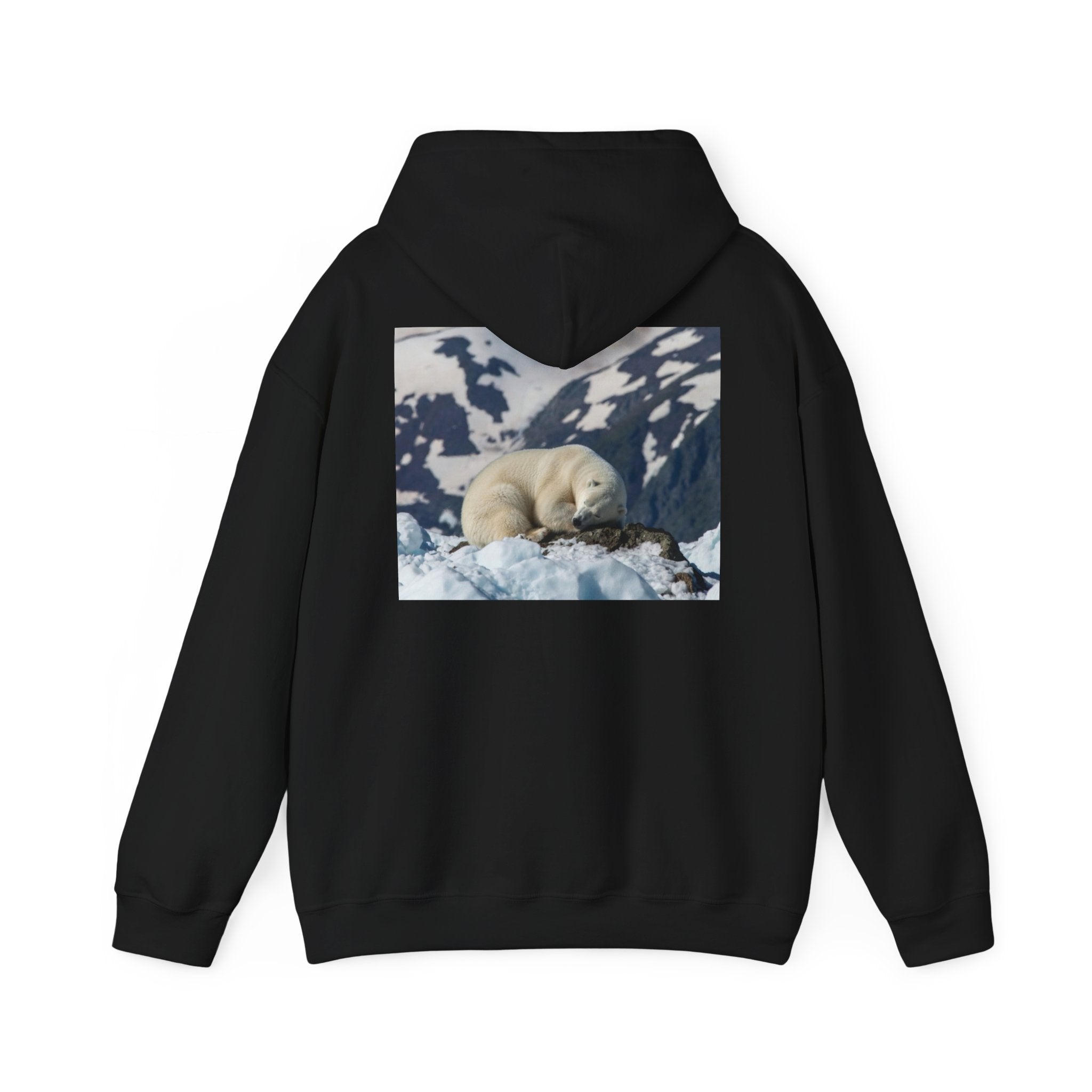 Polar Bear Photo Hoodie — Arctic Wildlife Photography Sweatshirt
