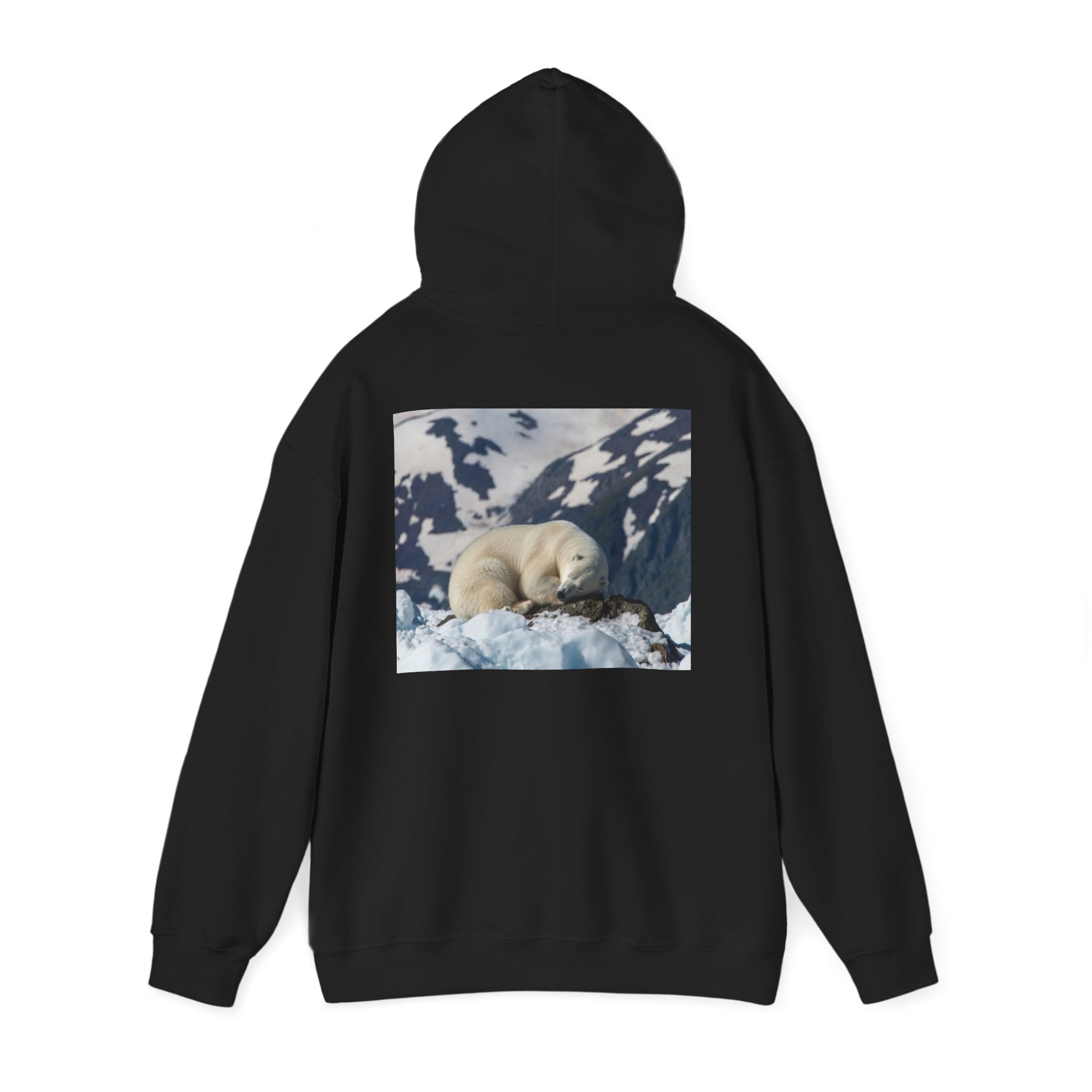 Polar Bear Photo Hoodie — Arctic Wildlife Photography Sweatshirt