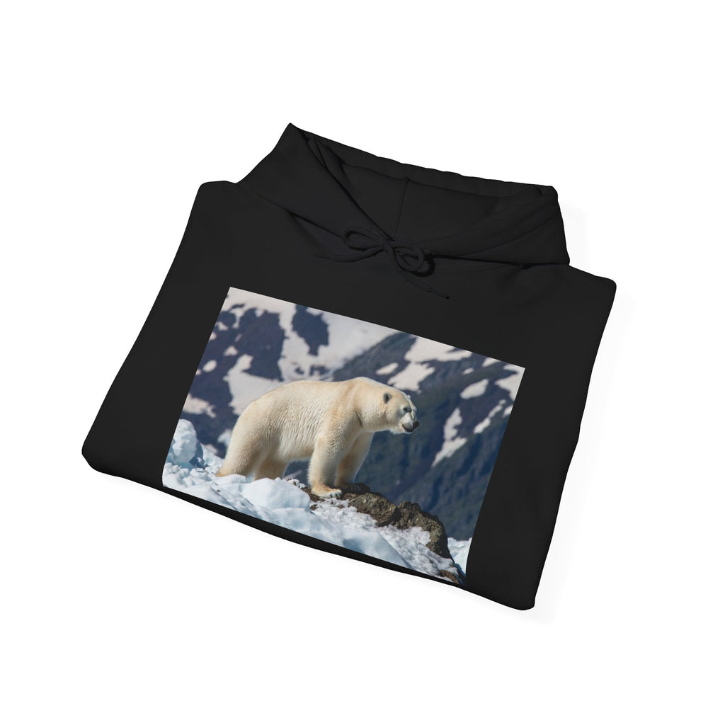 Polar Bear Photo Hoodie — Arctic Wildlife Photography Sweatshirt