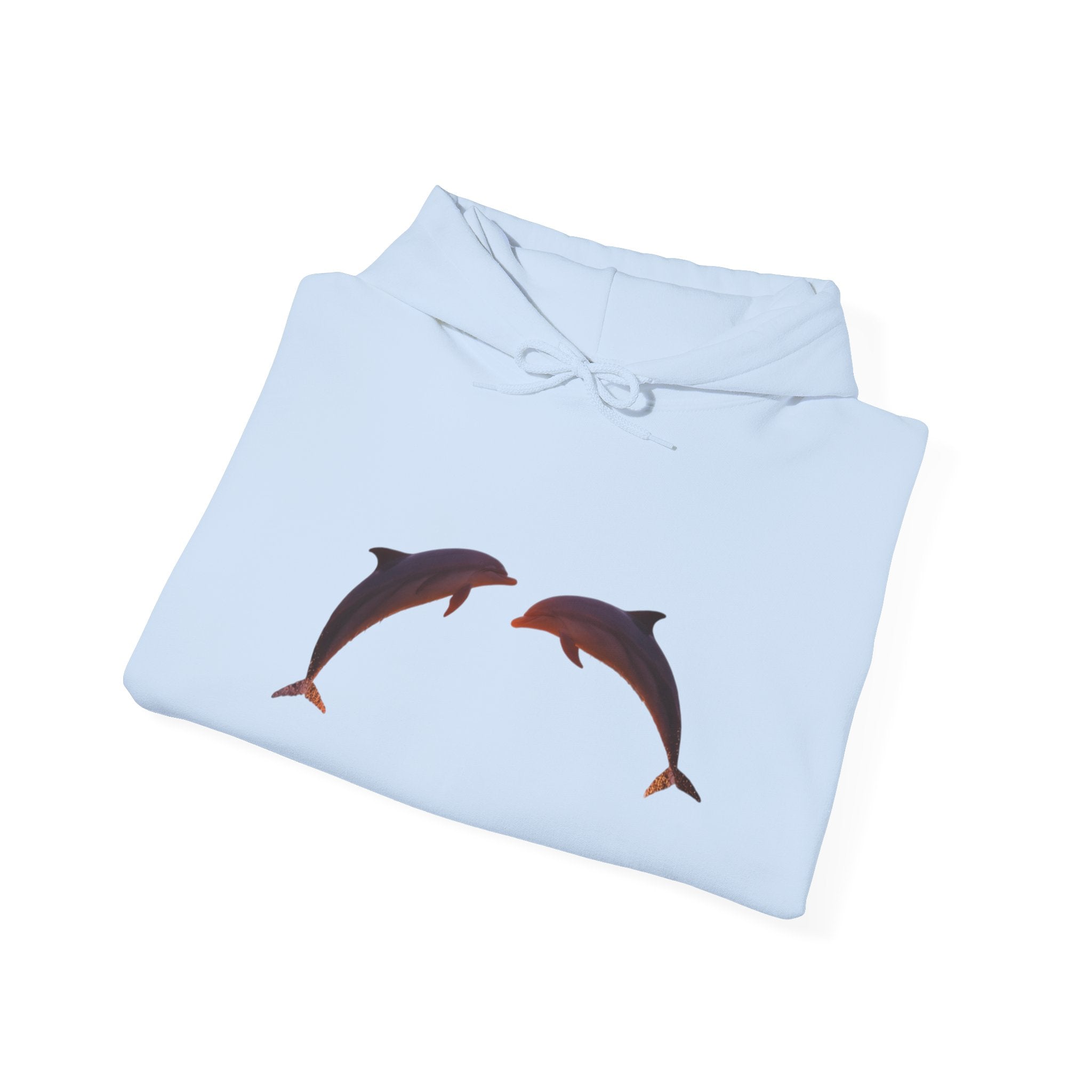 Dolphin Sunset Hoodie Unisex