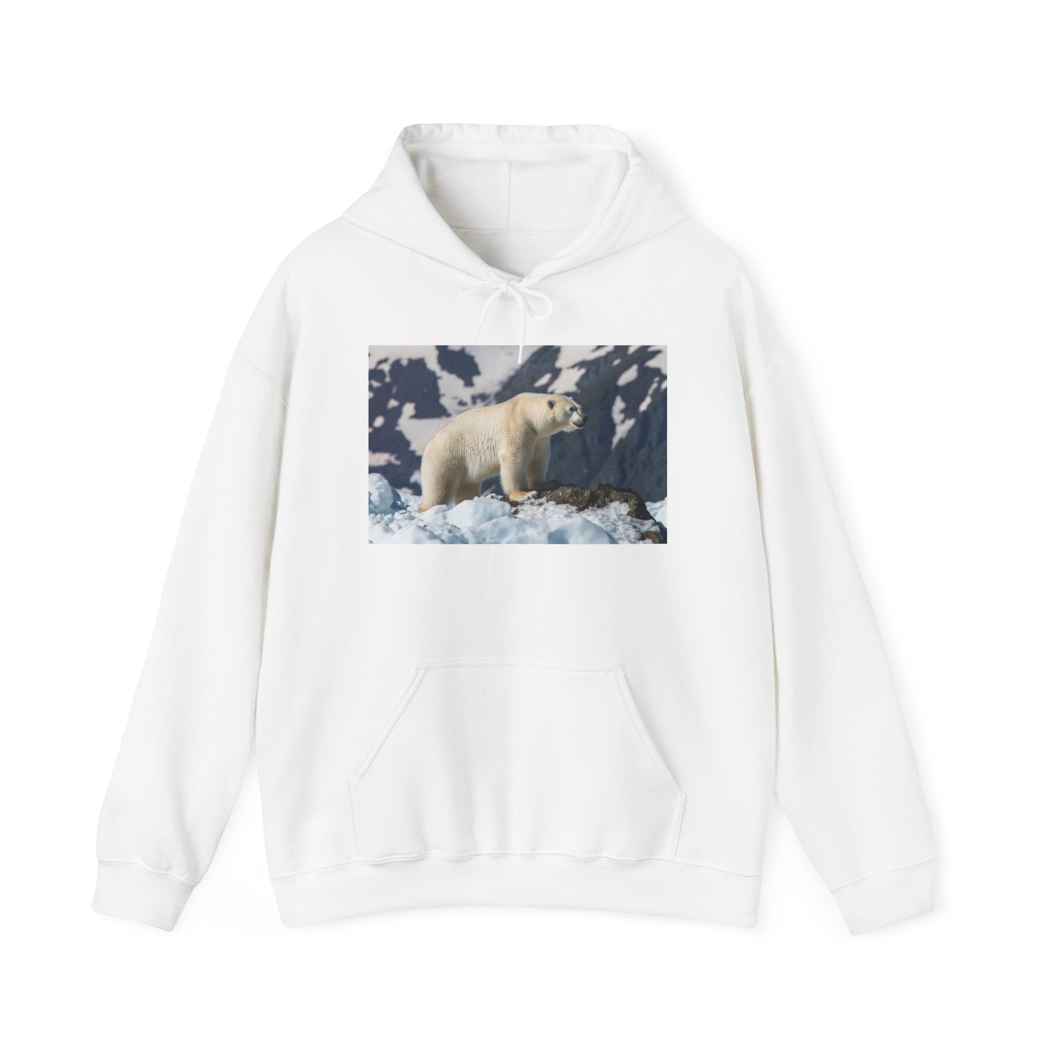Polar Bear Photo Hoodie — Arctic Wildlife Photography Sweatshirt