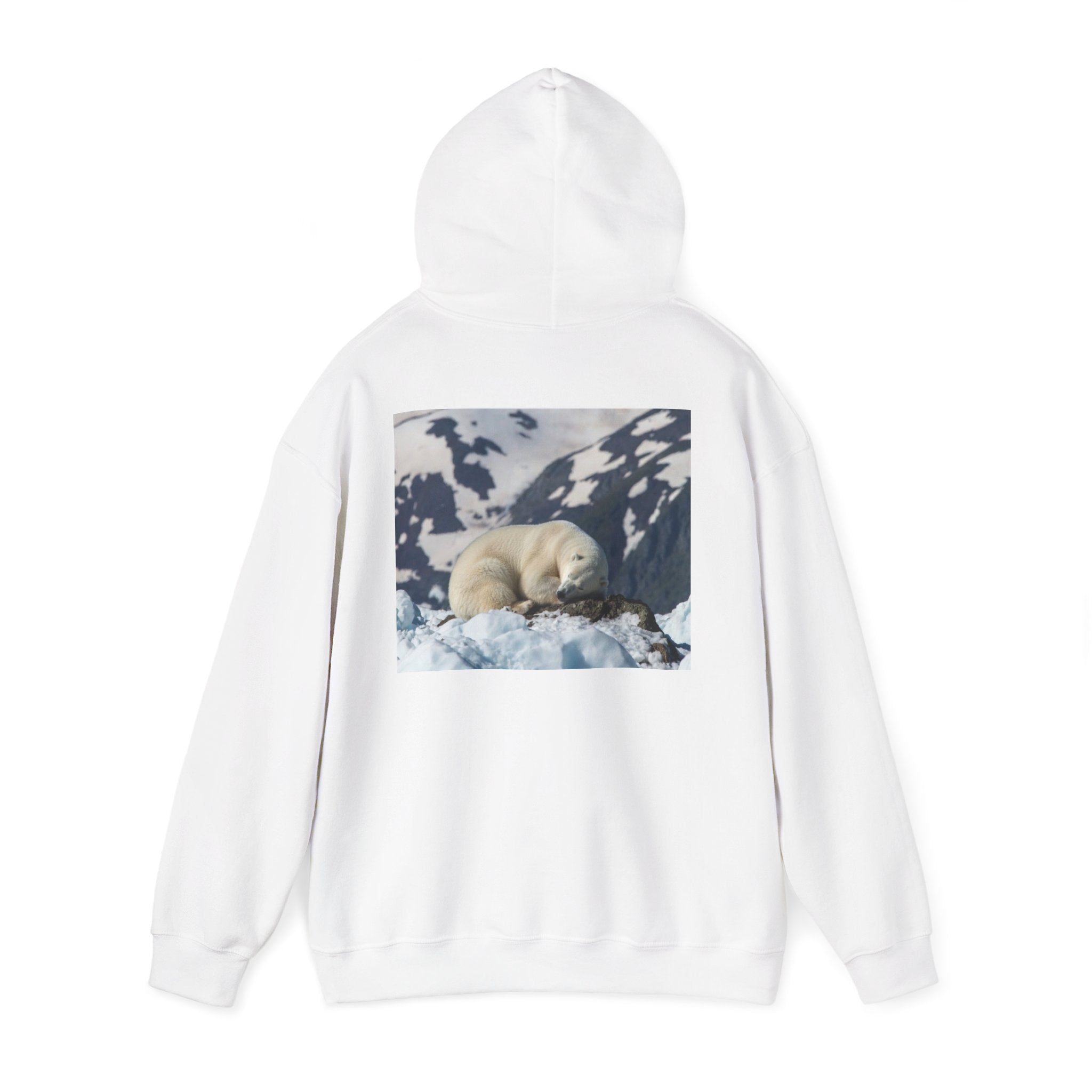 Polar Bear Photo Hoodie — Arctic Wildlife Photography Sweatshirt