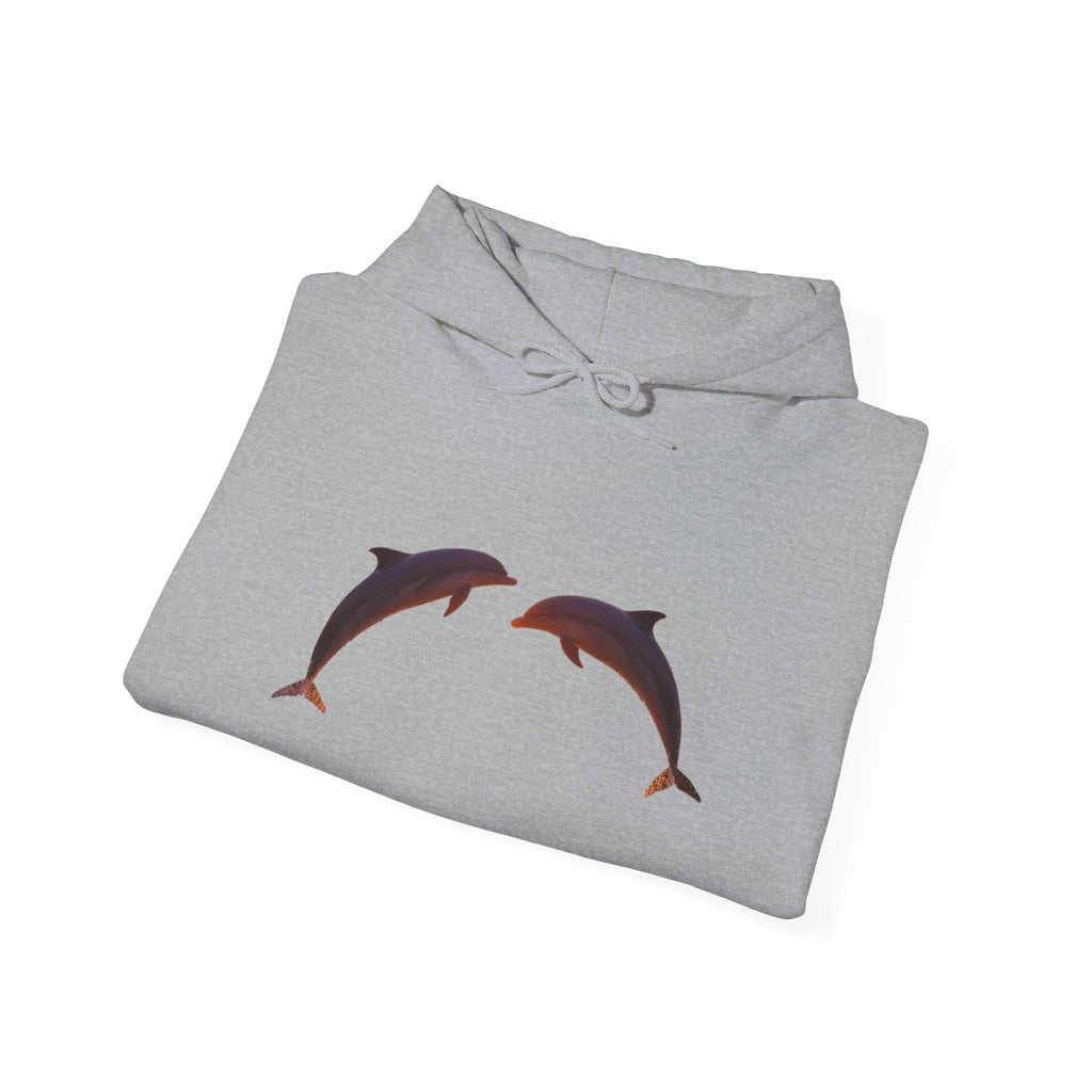 Dolphin Sunset Hoodie Unisex