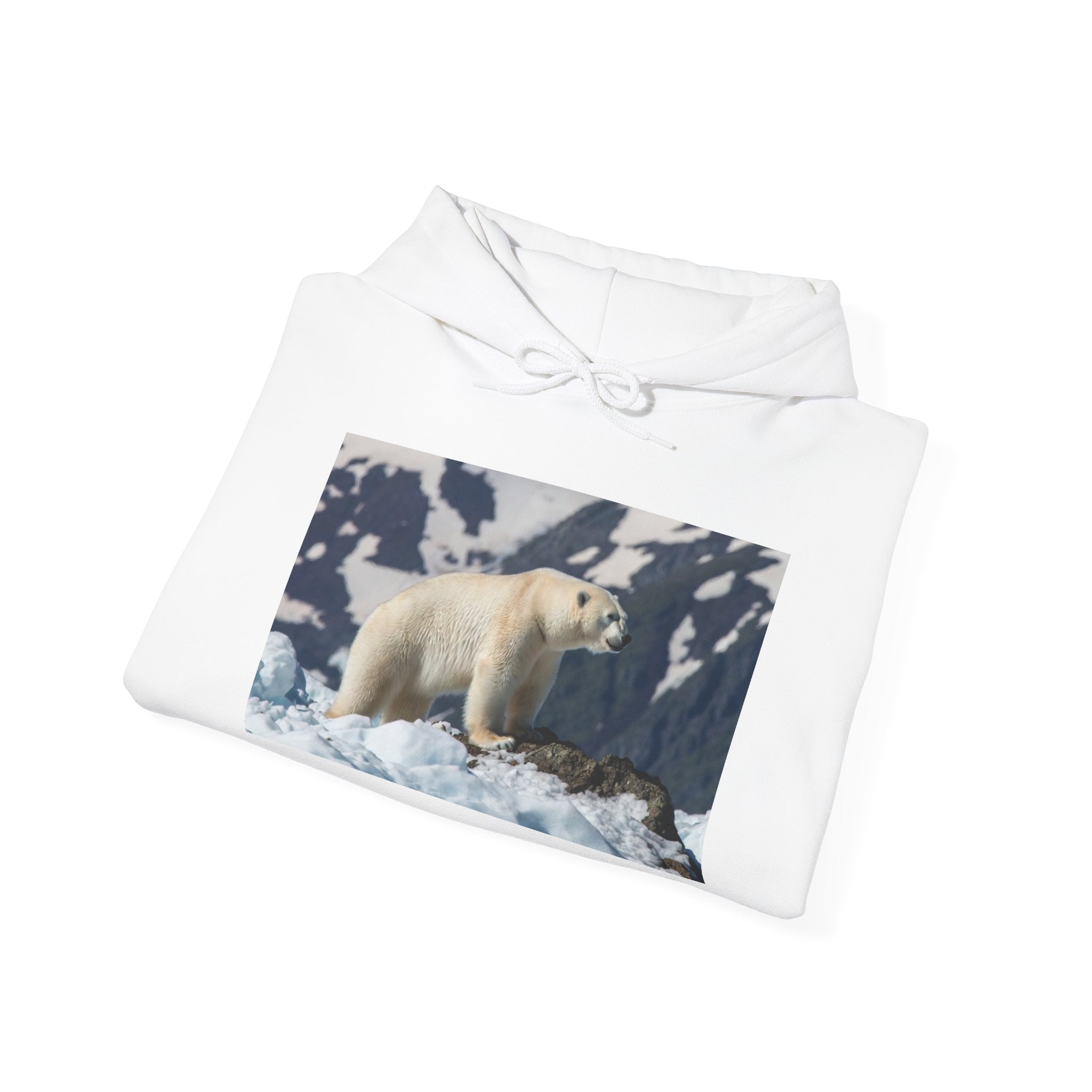 Polar Bear Photo Hoodie — Arctic Wildlife Photography Sweatshirt