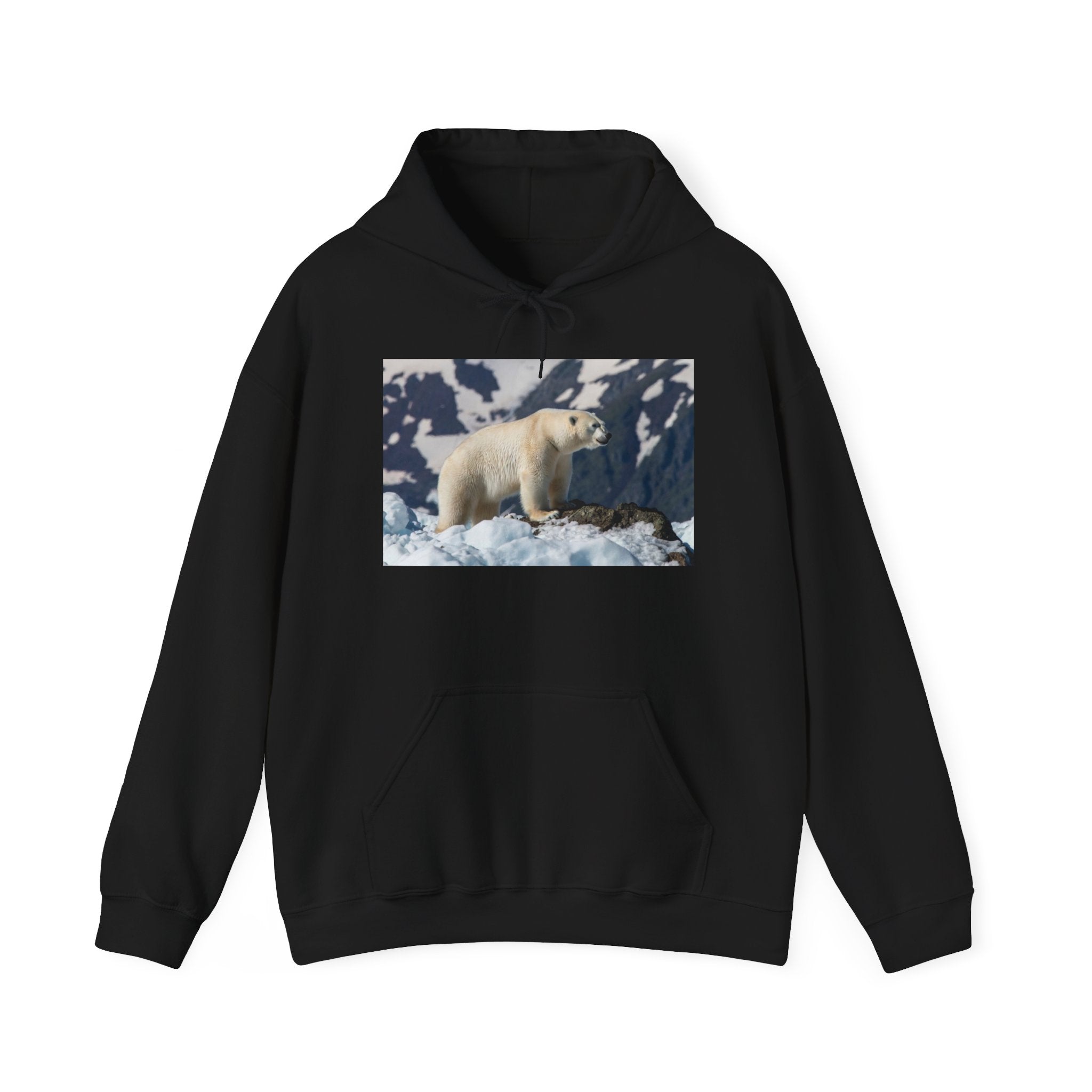 Polar Bear Photo Hoodie — Arctic Wildlife Photography Sweatshirt